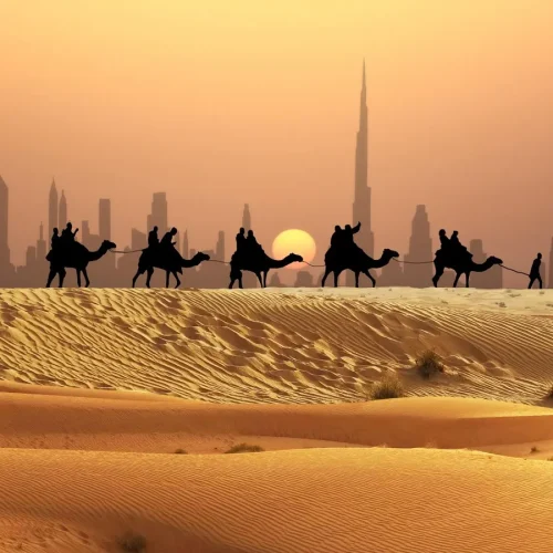 Dubai Skyline & Desert Adventure
